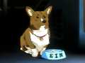 Ein